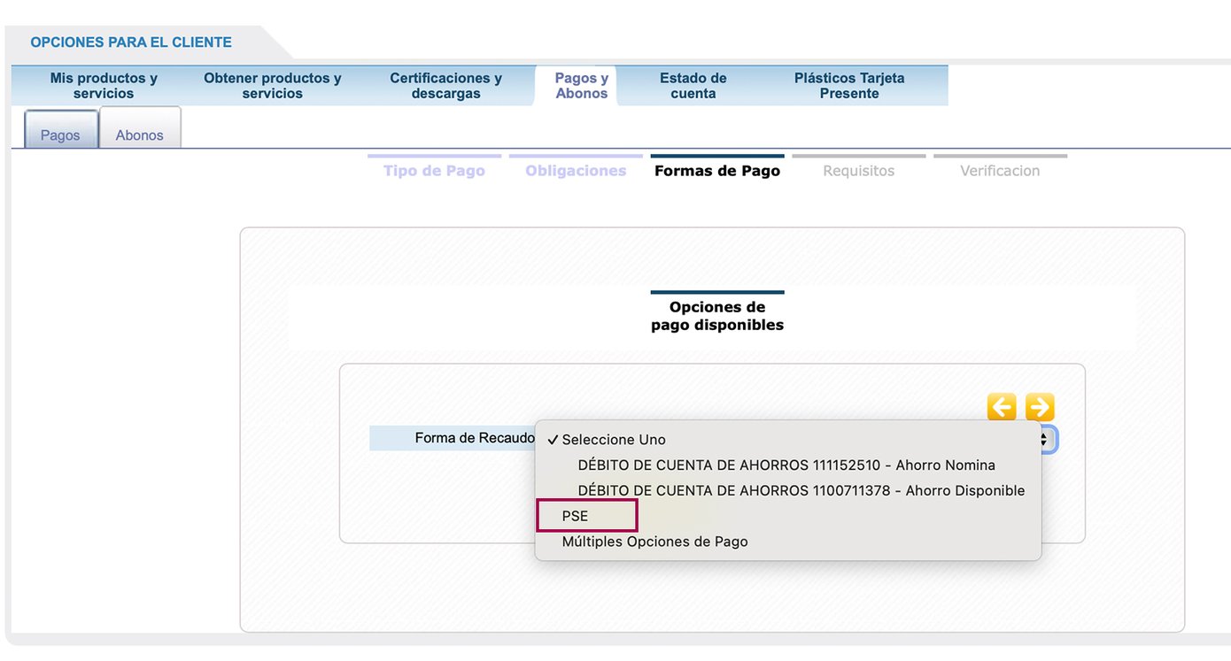 pagos_pse_web6