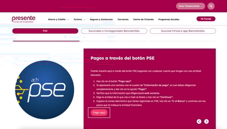 pagospseexternos4