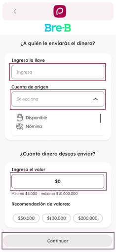 paso4enviarbreb