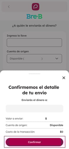 paso5enviarbreb