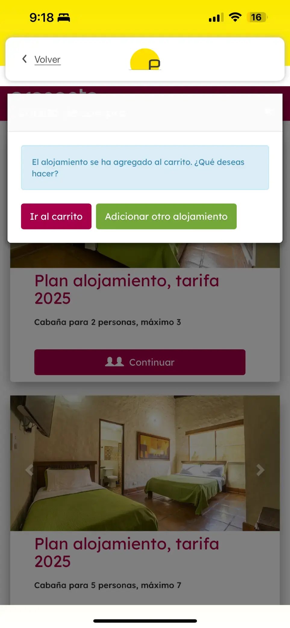 paso8