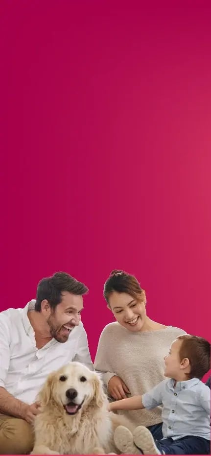banner-_home_responsive