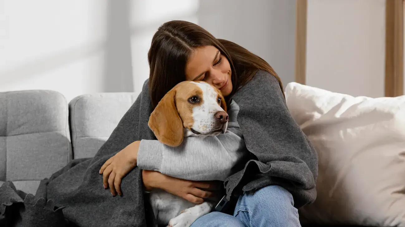 Cuidados básicos de tus mascotas