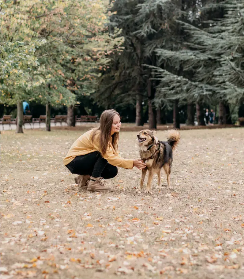 Pelos, patas y juegos
