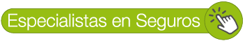 Conoce a nuestros especialistas en seguros