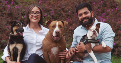 Cuidados básicos de tus mascotas