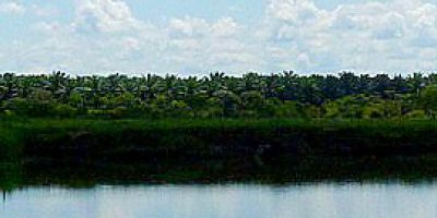 Descubre los tesoros de los llanos colombianos